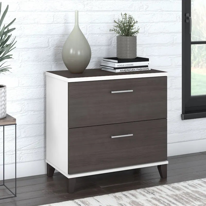 Bush Furniture Somerset 2 Drawer Lateral File Cabinet with Storage