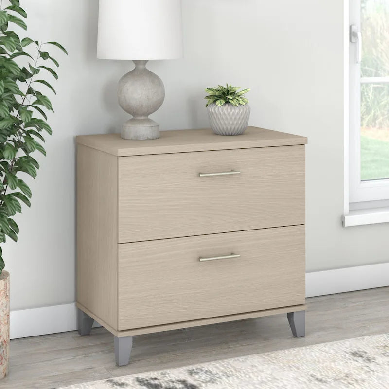 Bush Furniture Somerset 2 Drawer Lateral File Cabinet with Storage