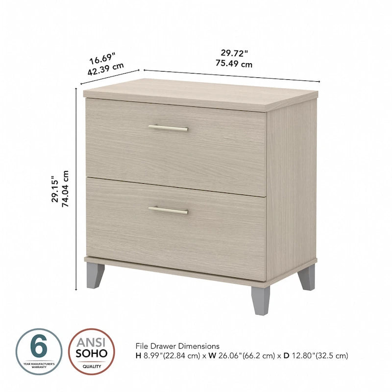 Bush Furniture Somerset 2 Drawer Lateral File Cabinet with Storage