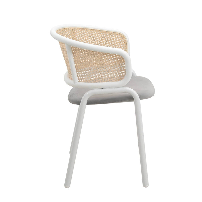 Ervilla Modern Stylish Side Chair with Rattan Back and White Steel Legs for Dining Room & Kitchen, Set of 2