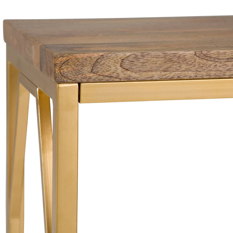 WYNDENHALL Ebsen Contemporary 20 inch Wide Metal and Wood Accent Side Table