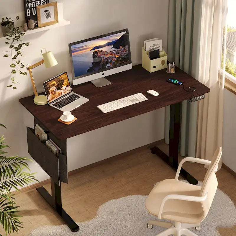 Standing Desk Electric Ergonomic Office Desk Computer Desk Height Adjustable Table with USB Port