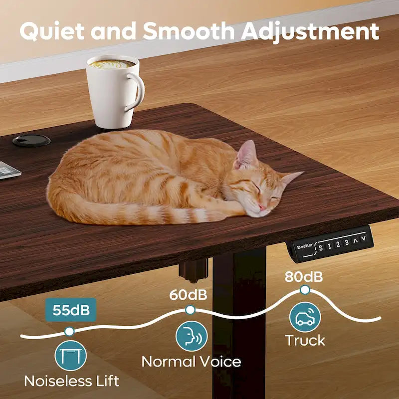 Standing Desk Electric Ergonomic Office Desk Computer Desk Height Adjustable Table with USB Port