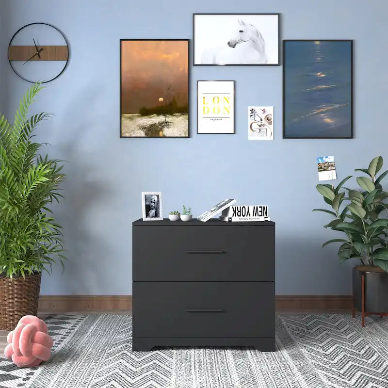2 -Drawer Lateral Filing Cabinet