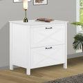 Saint Birch 2-Drawer File Cabinet